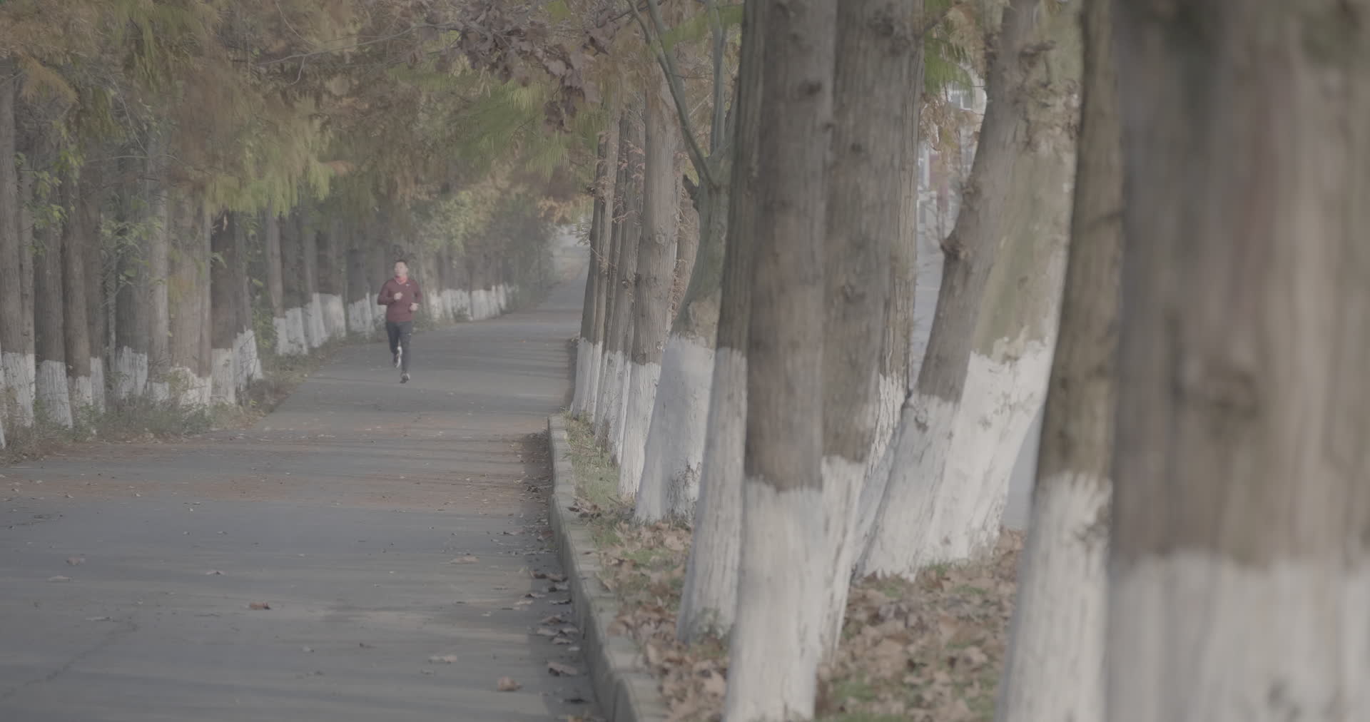 男人跑步锻炼南京江宁杨柳村古建筑群秋天杉树道路4K实拍视频视频的预览图