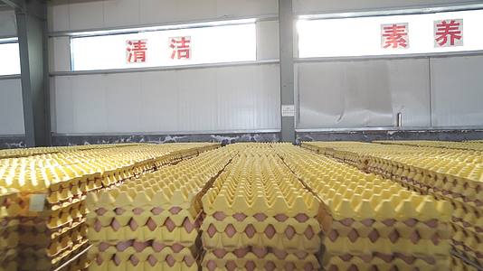 4K鸡蛋工厂陈列装车鸡蛋堆码大仓库装箱发车视频的预览图