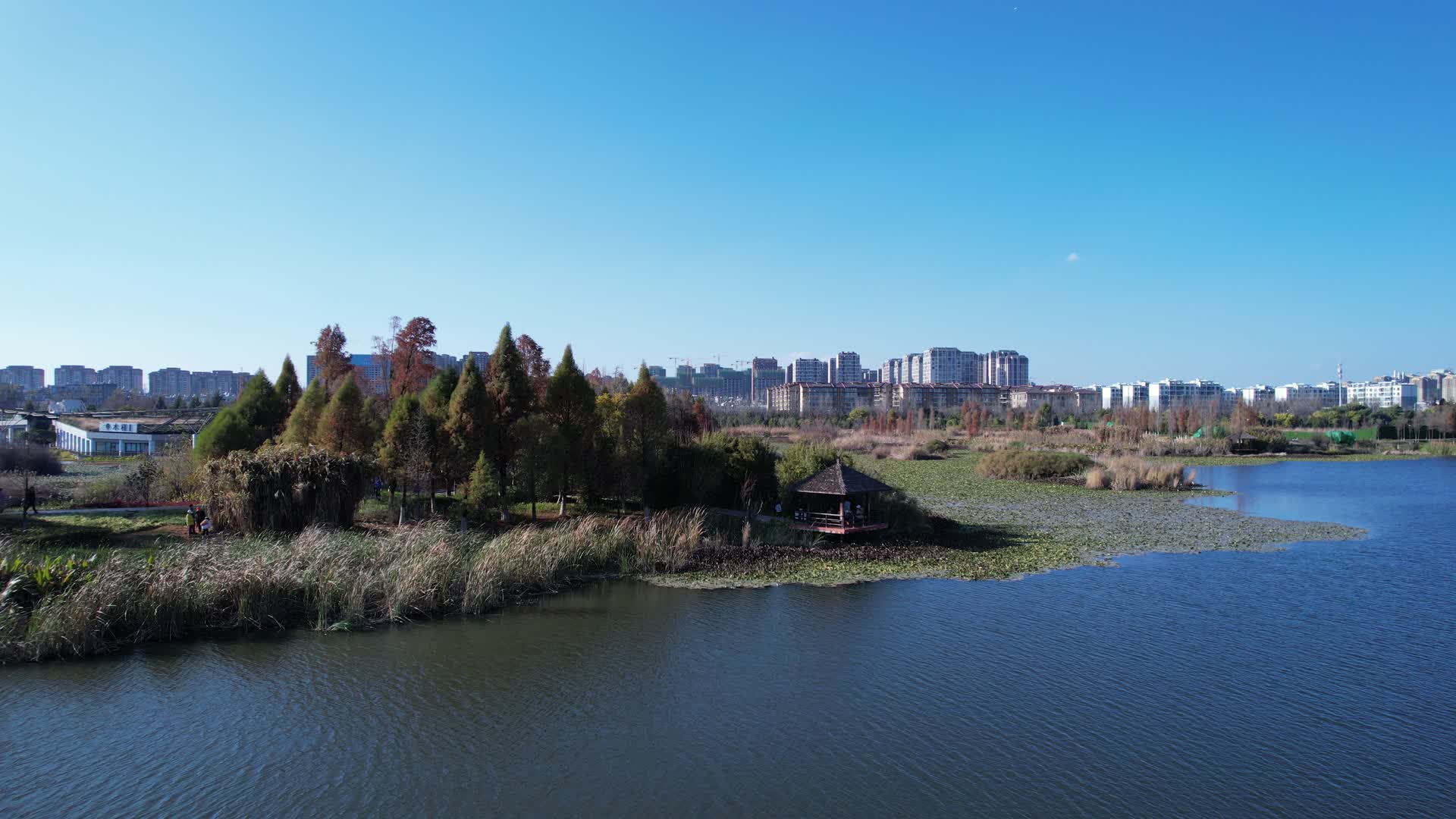 湿地公园视频的预览图