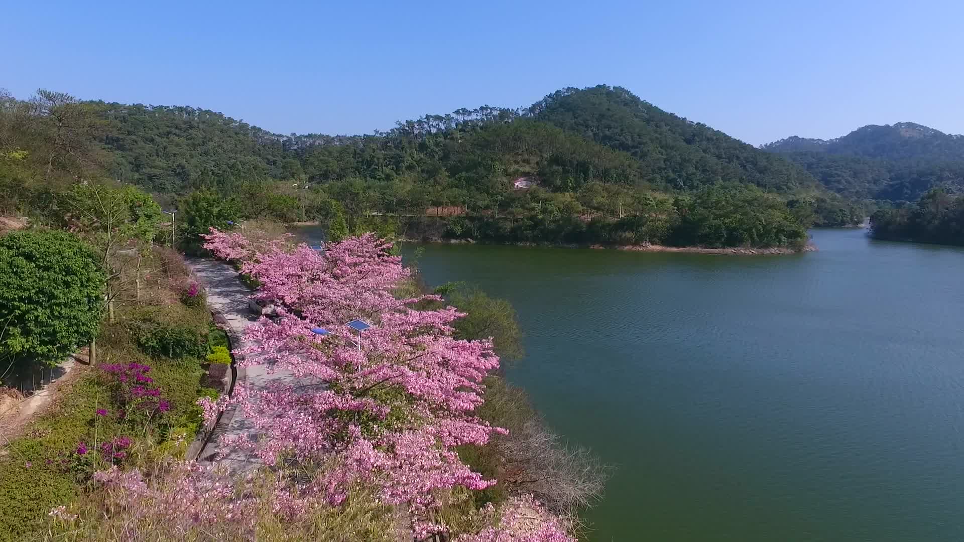 美丽水库湖泊风光视频的预览图