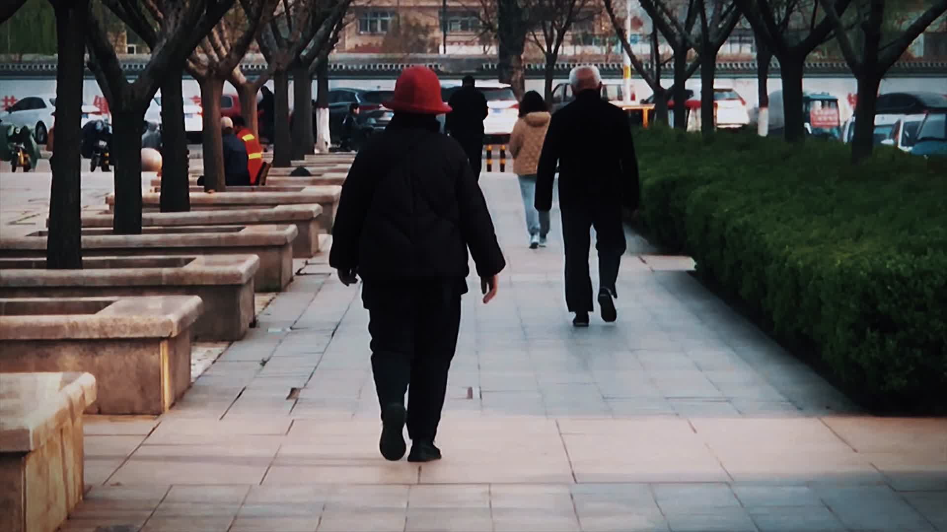 4K高清实拍老人在公园散步视频的预览图