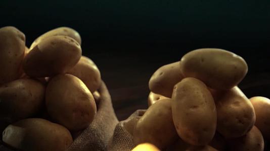 烤肉蔬菜土豆视频的预览图