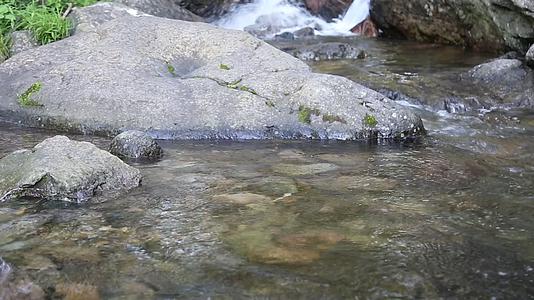 森林小溪流水视频的预览图