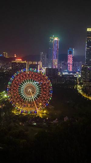 竖屏高清延时航拍南宁凤岭儿童公园夜景视频的预览图
