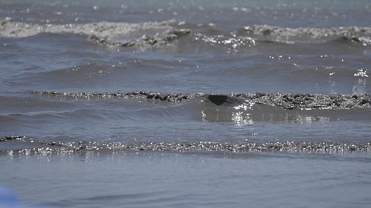 青海湖湖浪升格视频视频的预览图