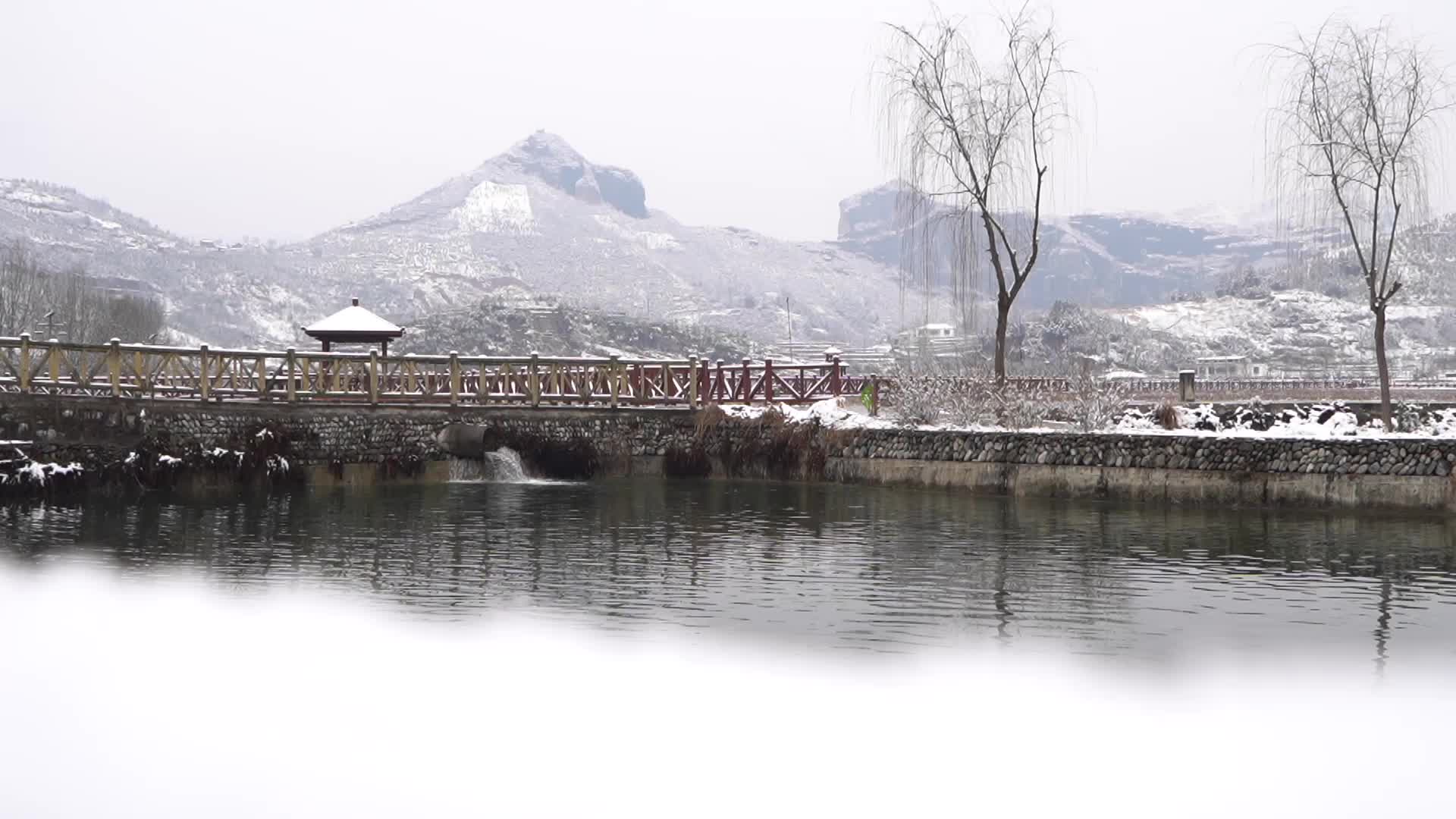 农村景区下雪雪花飘舞景观视频的预览图