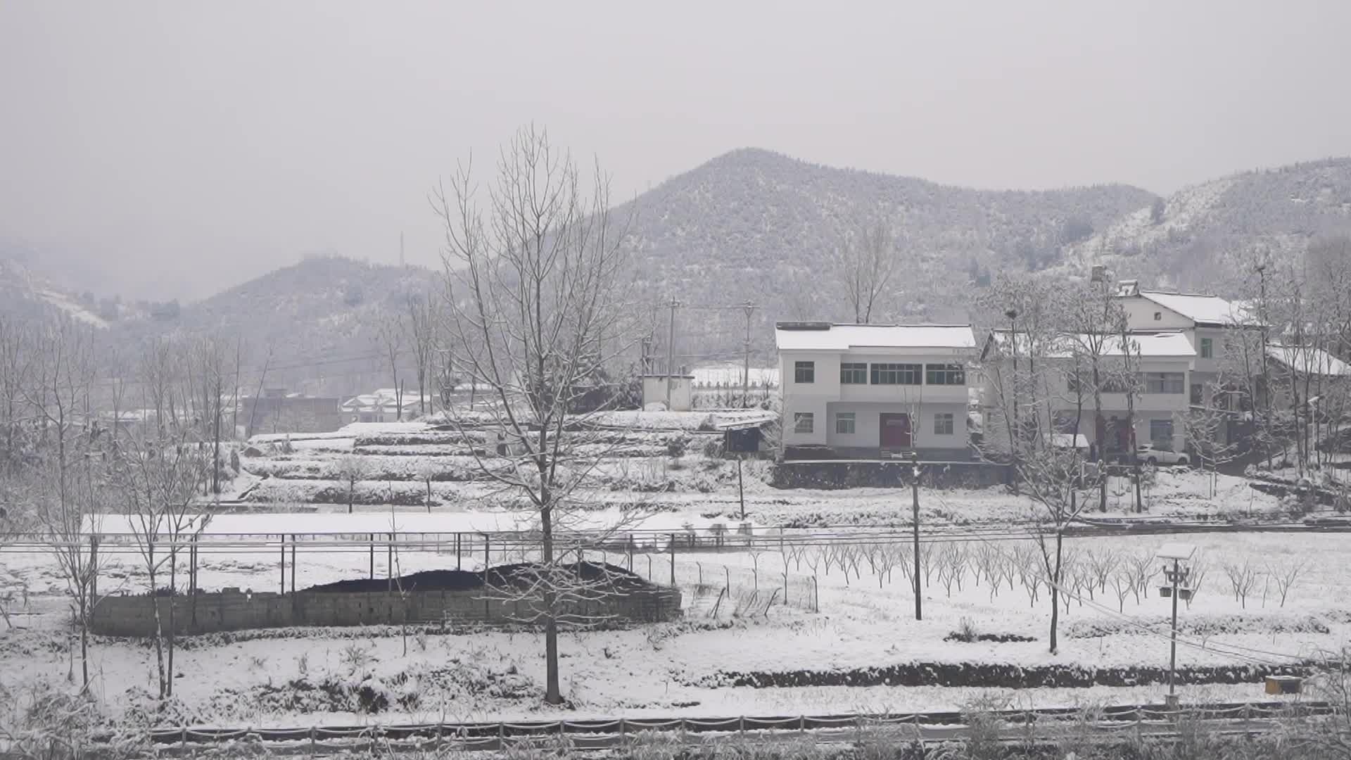 农村景区下雪雪花飘舞雪景景观2视频的预览图