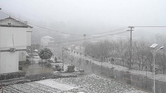 农村景区下雪雪花飘雪景观视频的预览图