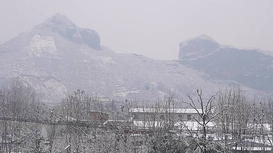 农村景区下雪雪花雪景景观视频的预览图