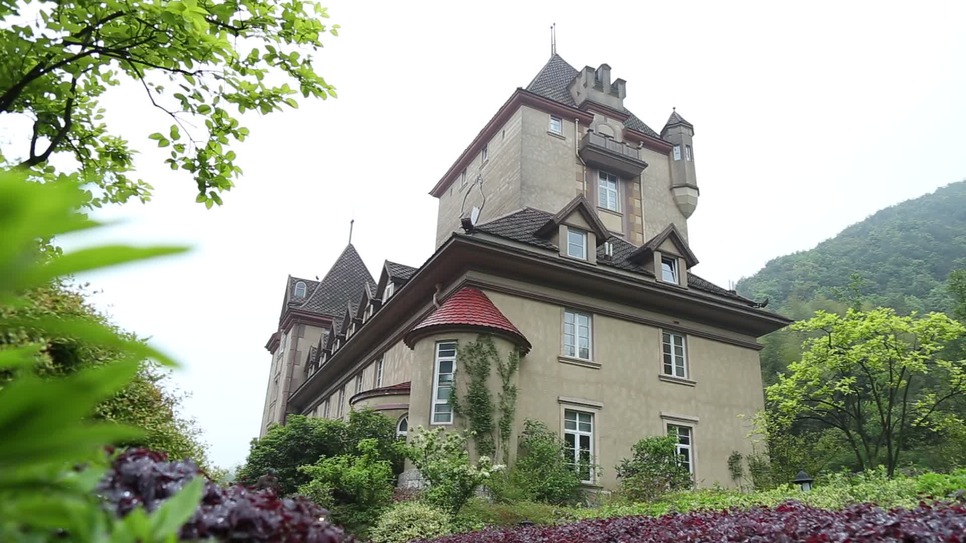 城堡别墅视频的预览图