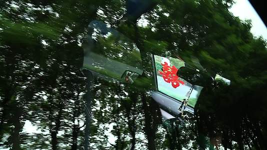 树荫下车上挡风玻璃的意境喜字视频的预览图