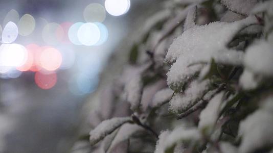 冬日城市雪夜视频的预览图