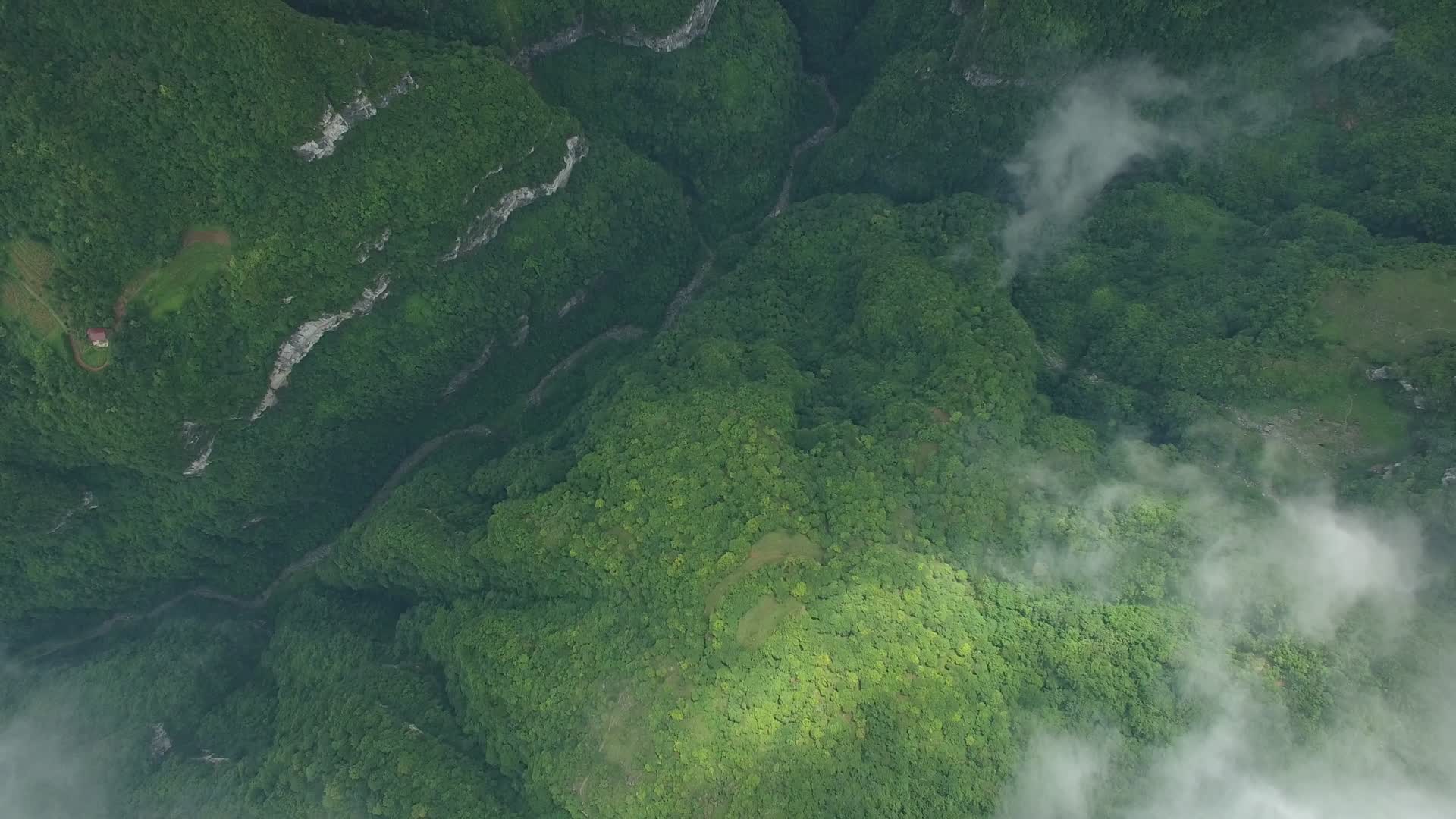 唯美大自然云雾视频的预览图