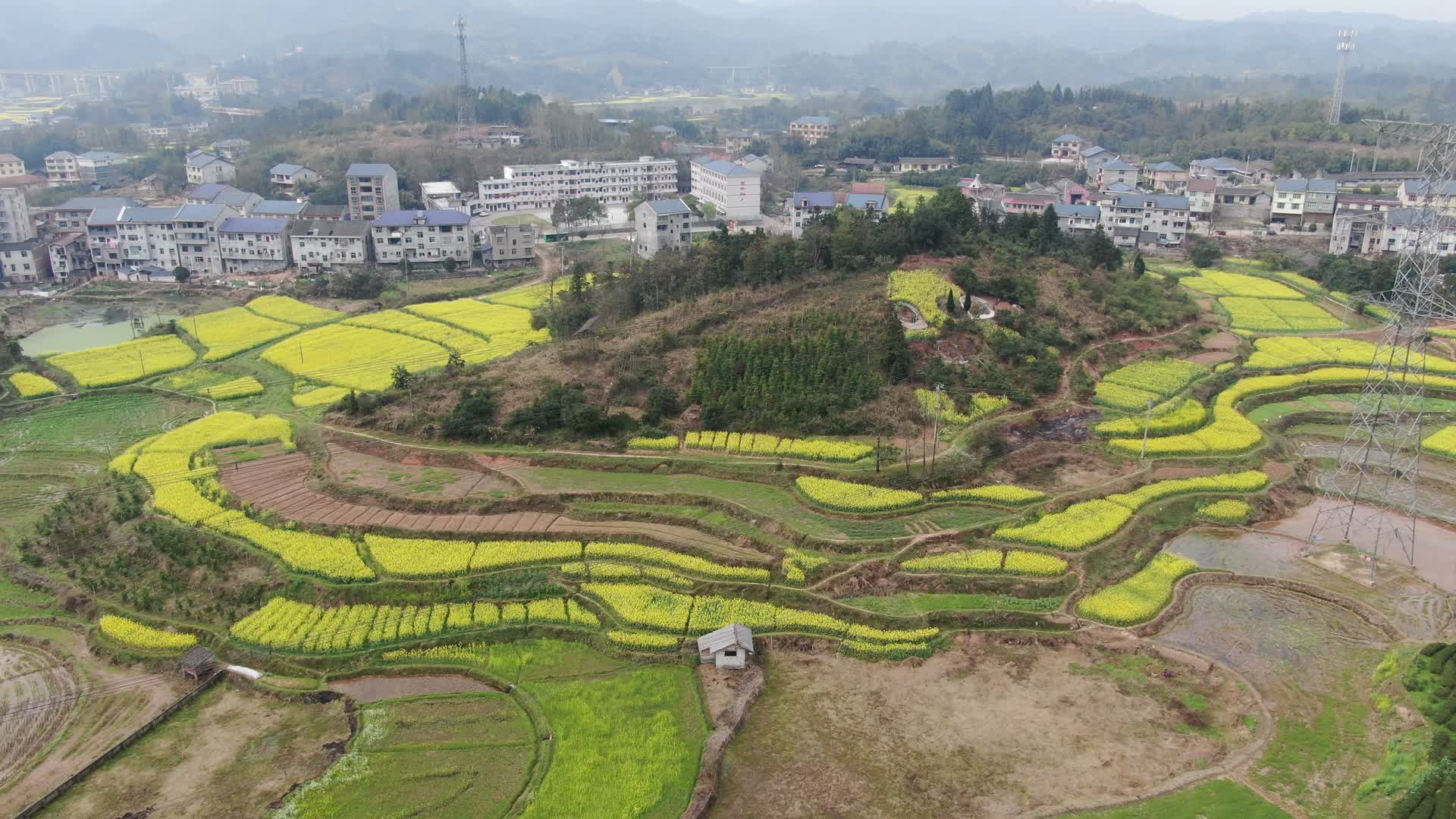 航拍美丽乡村田园油菜花农业种植视频的预览图