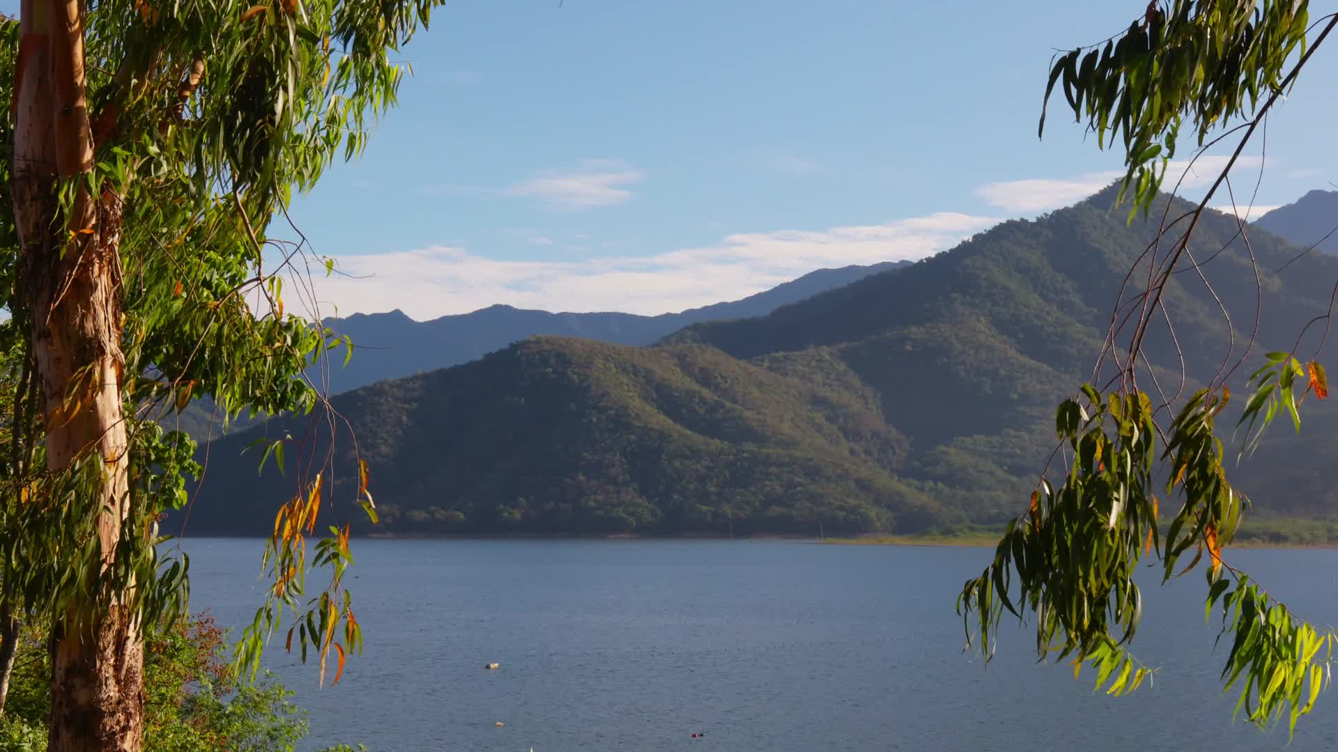 4K实拍晴天远山湖泊和绿树视频的预览图