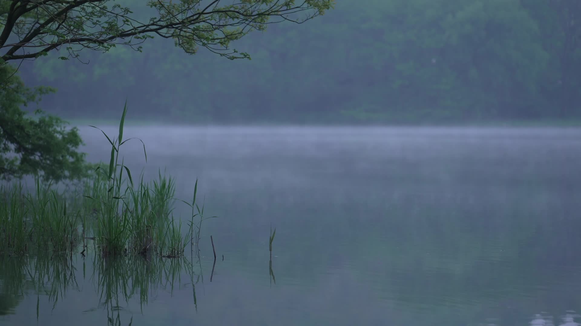 杭州西湖雾气水面风景视频的预览图
