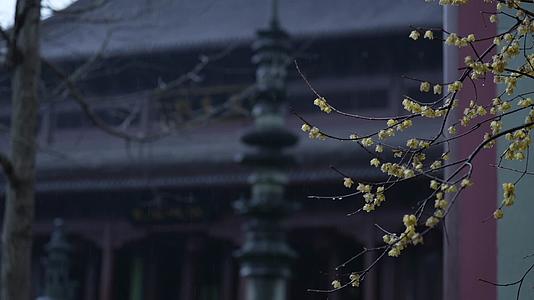 唯美杭州下雪天钱王祠古风建筑视频的预览图