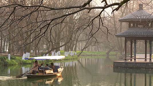 唯美杭州古风风景小船树枝湖面视频的预览图