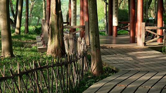 唯美杭州风景古风早晨小道树林亭子视频的预览图