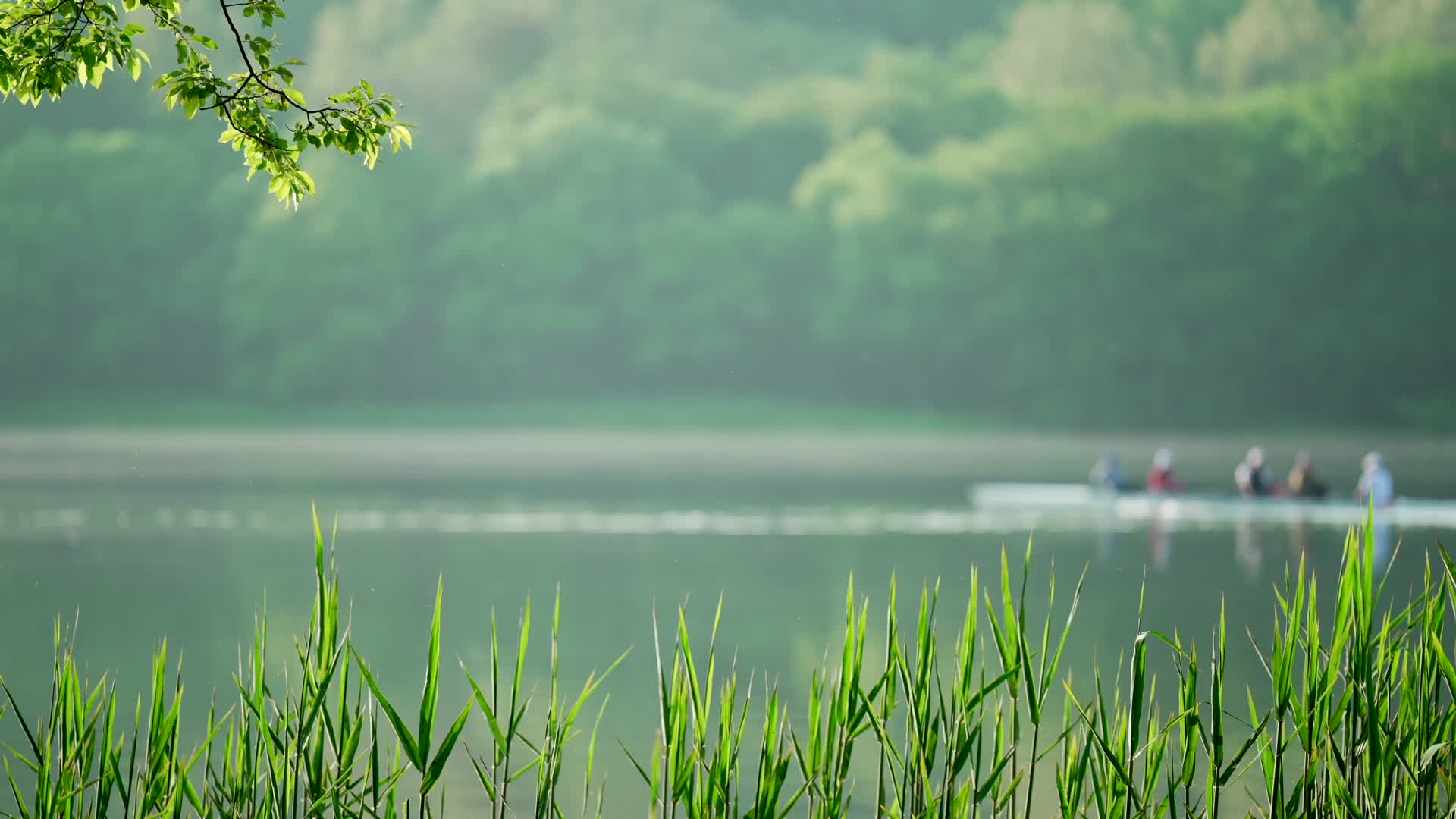 唯美杭州西湖小船早晨视频的预览图