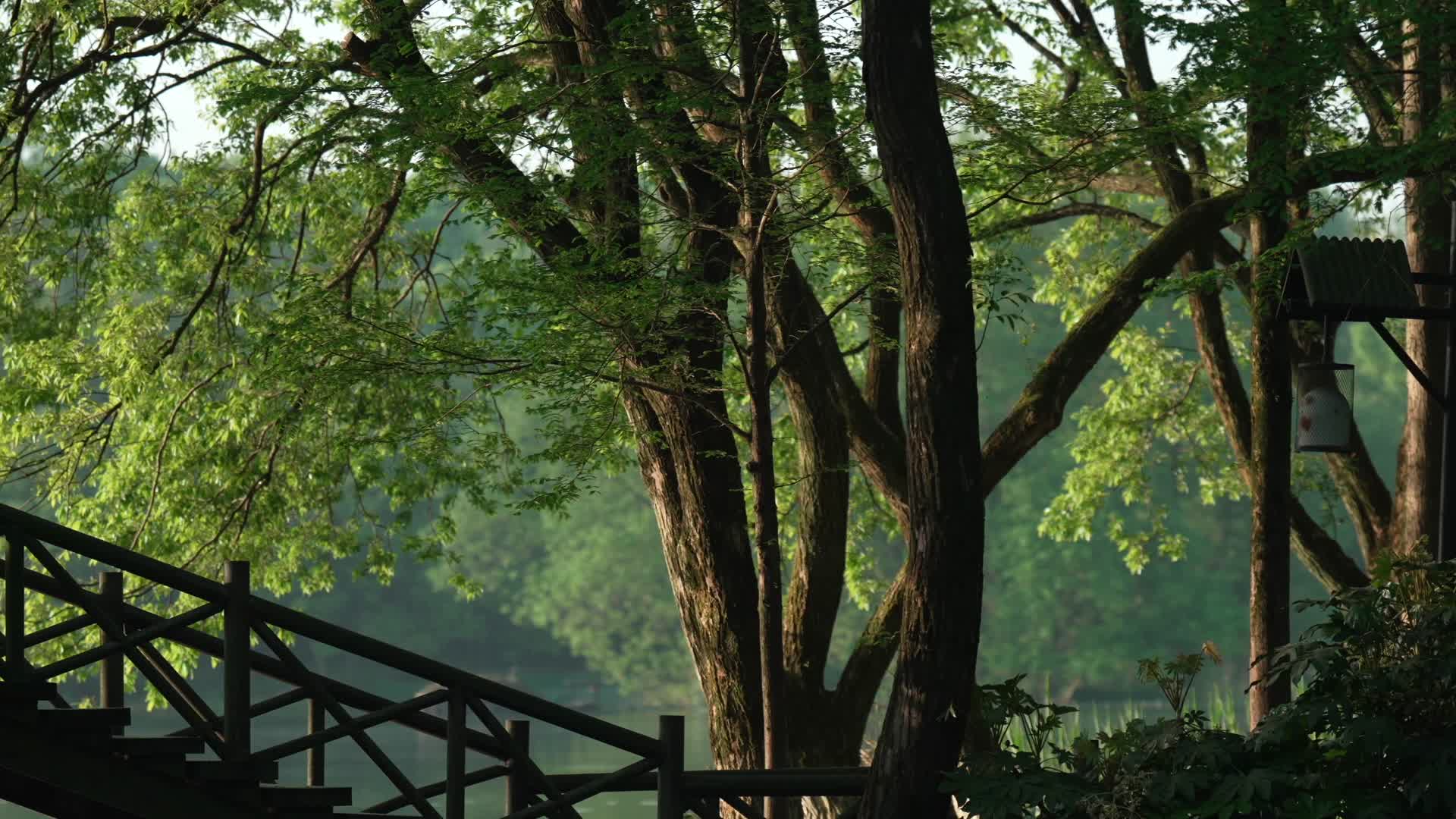 唯美杭州风景古风小桥视频的预览图