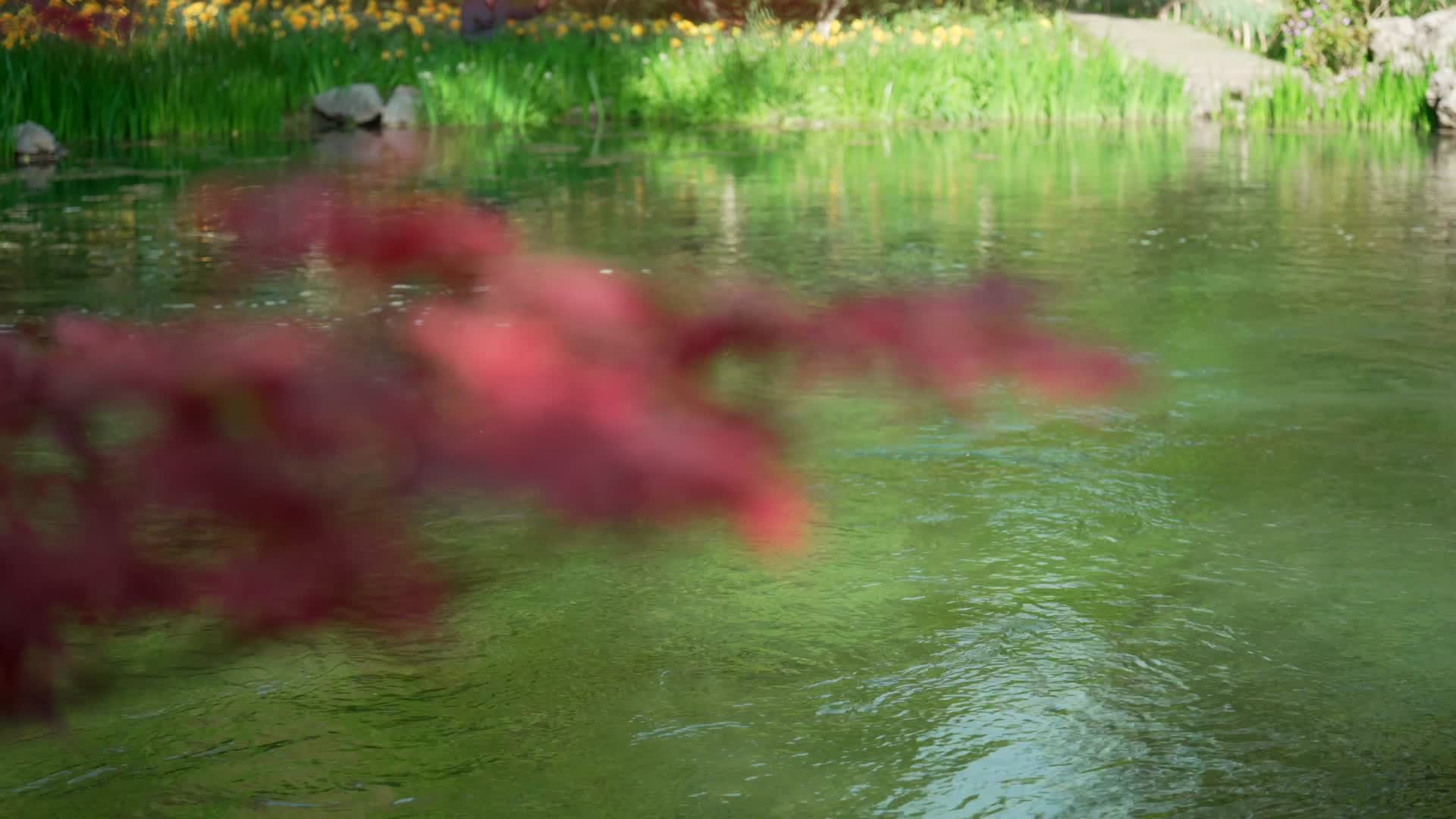 唯美杭州风景小溪流水视频的预览图