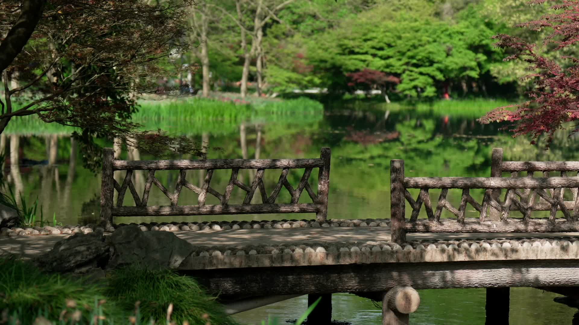 唯美杭州风景小桥绿荫小溪视频的预览图