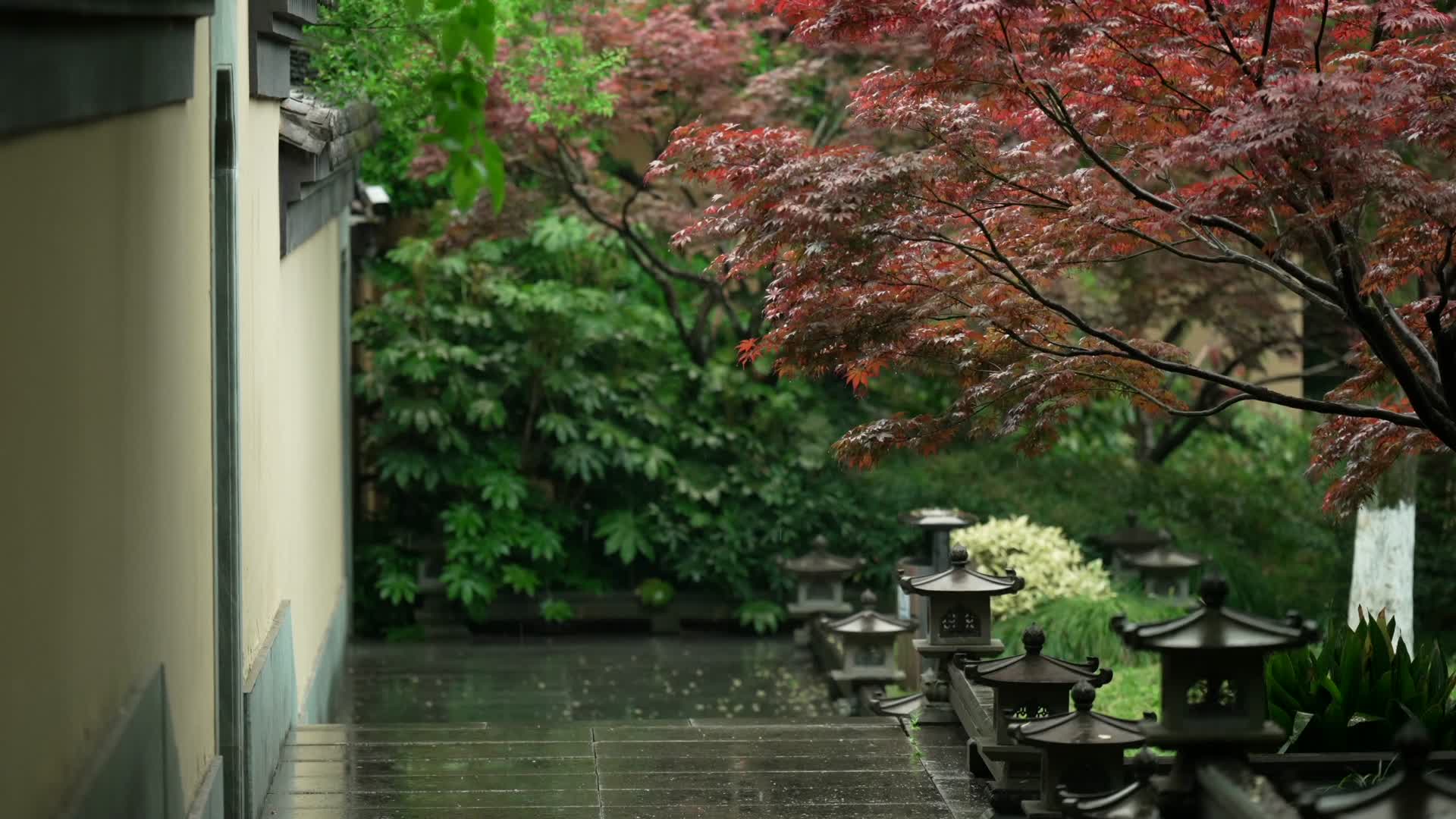 唯美杭州寺庙古建筑下雨天小道树枝视频的预览图