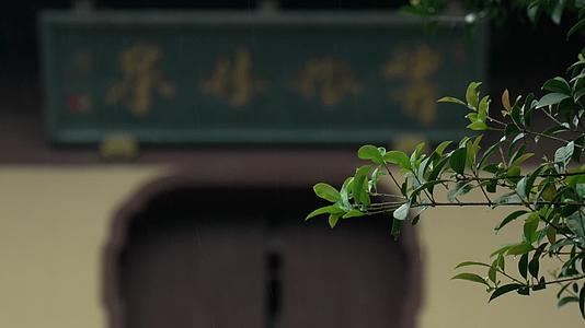 唯美杭州寺庙古建筑下雨天牌匾树枝视频的预览图