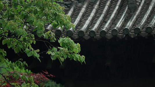 唯美杭州寺庙古建筑下雨天屋檐树枝视频的预览图