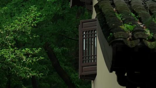 唯美杭州寺庙古建筑下雨天屋檐窗户树枝视频的预览图