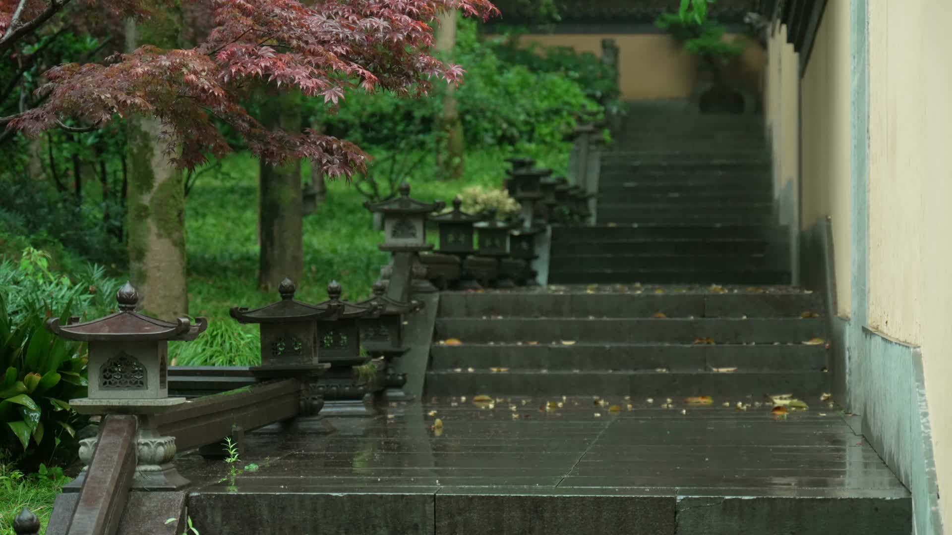 唯美杭州寺庙古建筑下雨天小道树枝视频的预览图