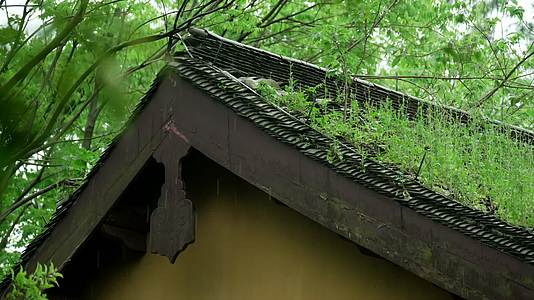 唯美杭州寺庙古建筑下雨天屋顶视频的预览图