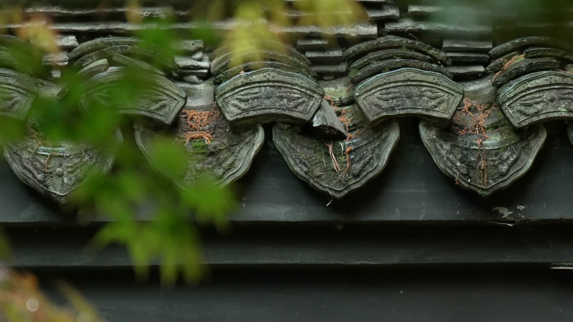 唯美杭州寺庙古建筑下雨天树枝视频的预览图