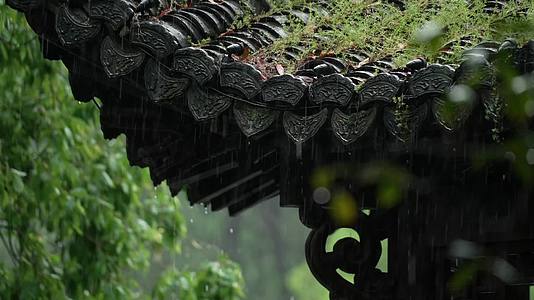 唯美杭州风景古建筑下雨天亭子飞檐树枝视频的预览图