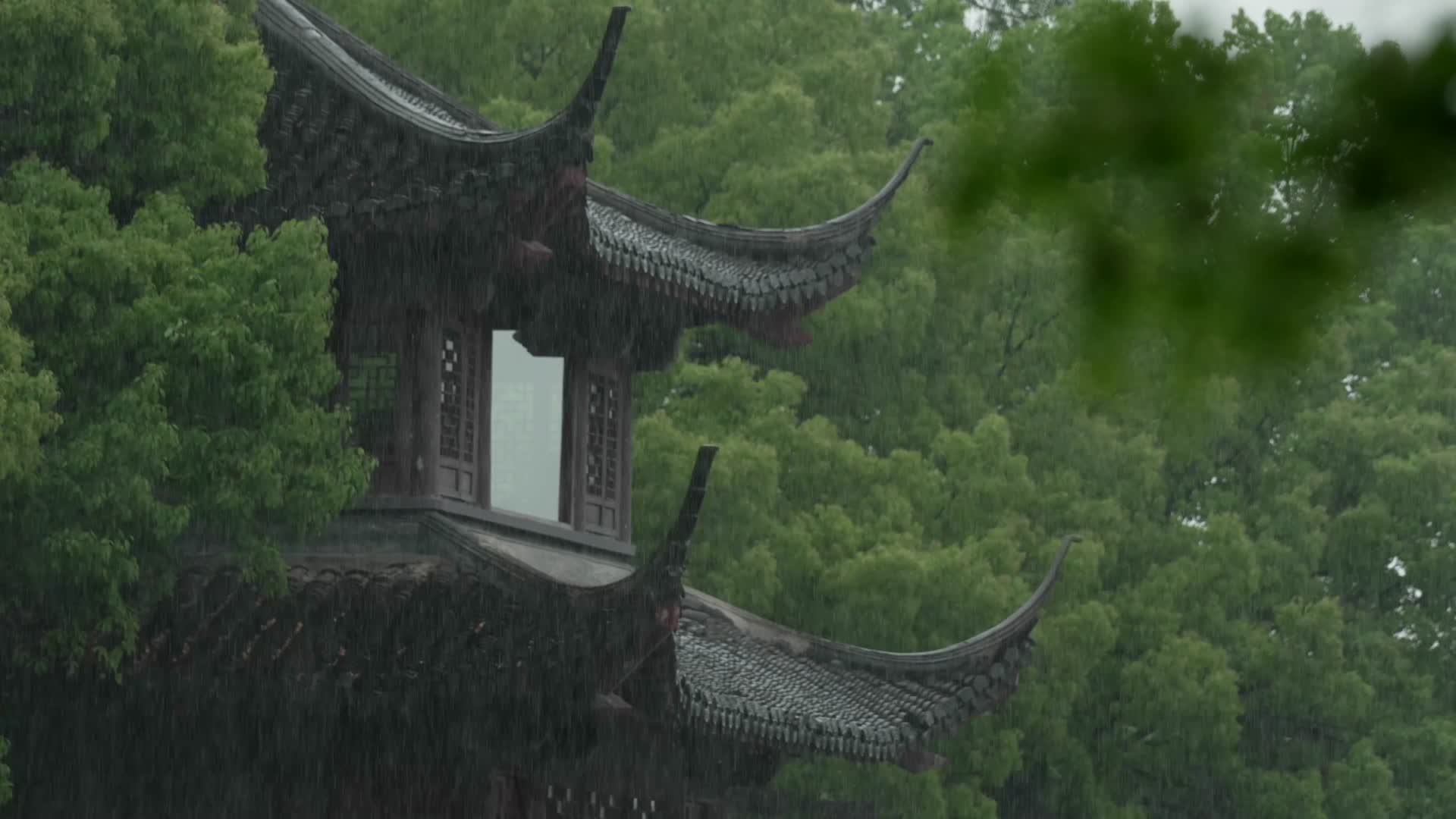 唯美杭州古建筑下雨天亭子树枝视频的预览图