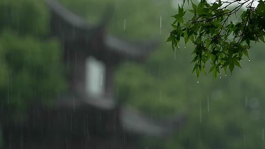 唯美杭州古建筑下雨天亭子树枝视频的预览图