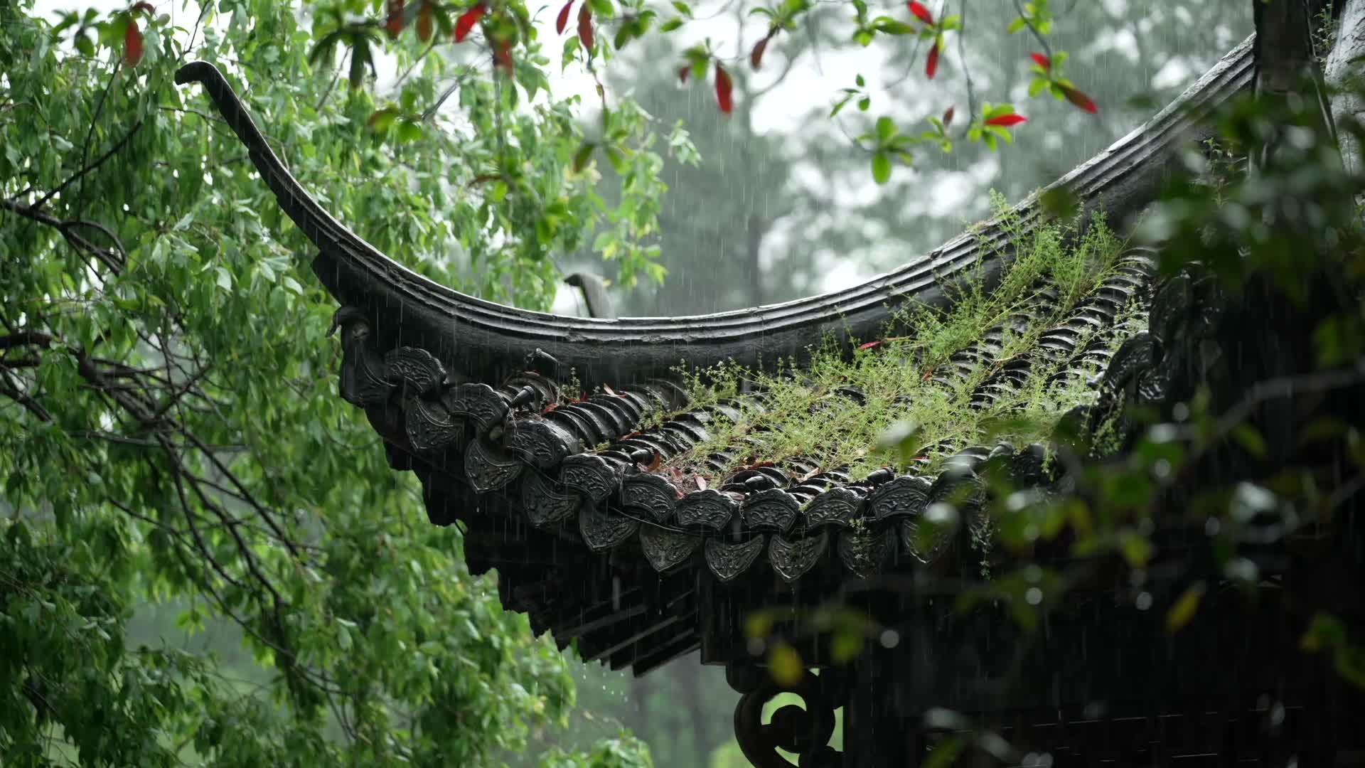 唯美杭州风景古建筑下雨天亭子飞檐视频的预览图