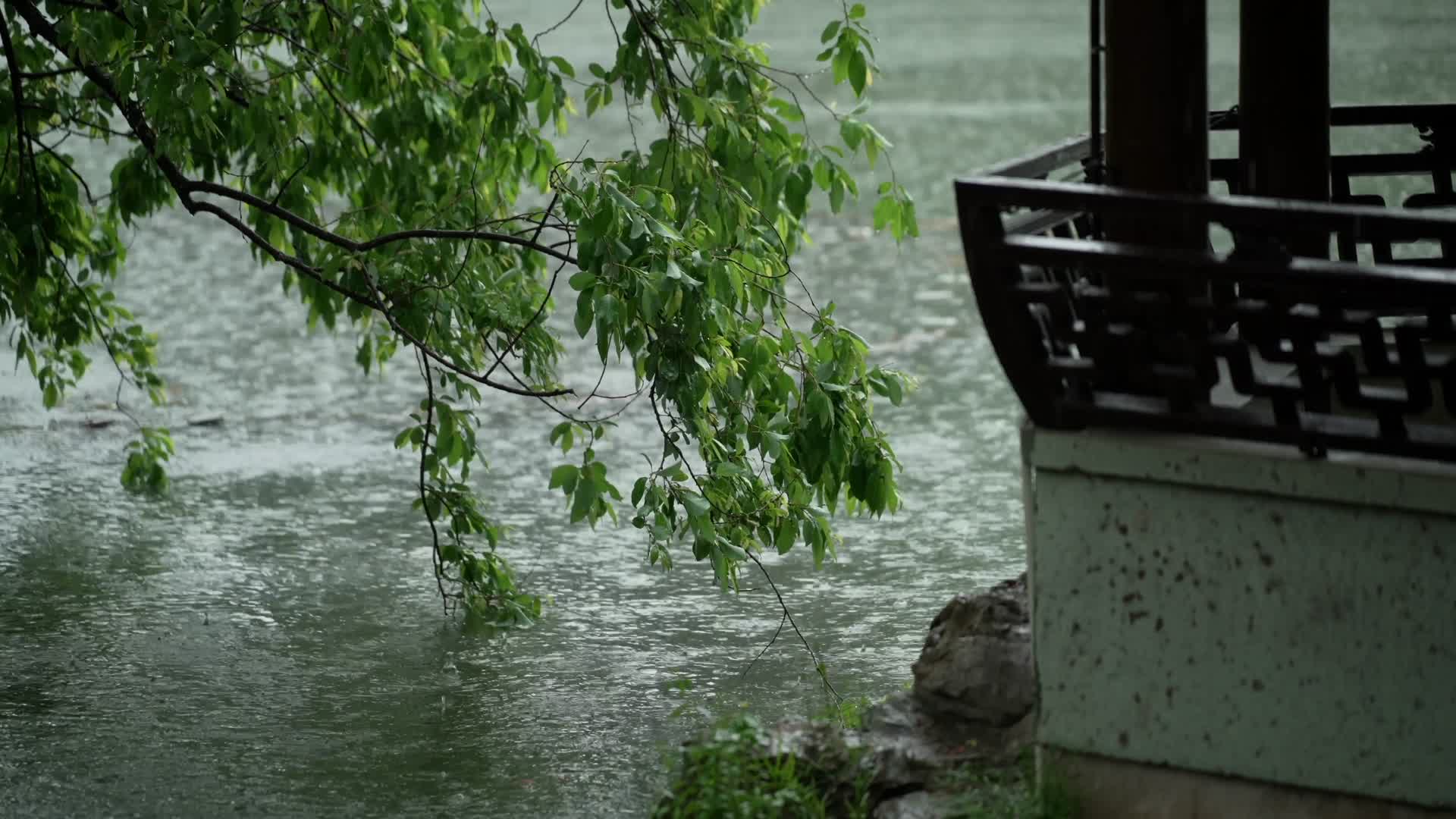 唯美杭州风景公园古建筑下雨天亭子树枝视频的预览图