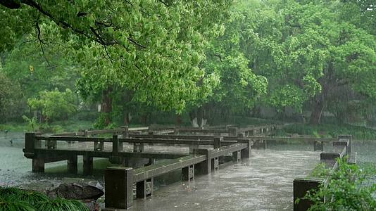 唯美杭州古建筑下雨天小溪树枝廊桥视频的预览图