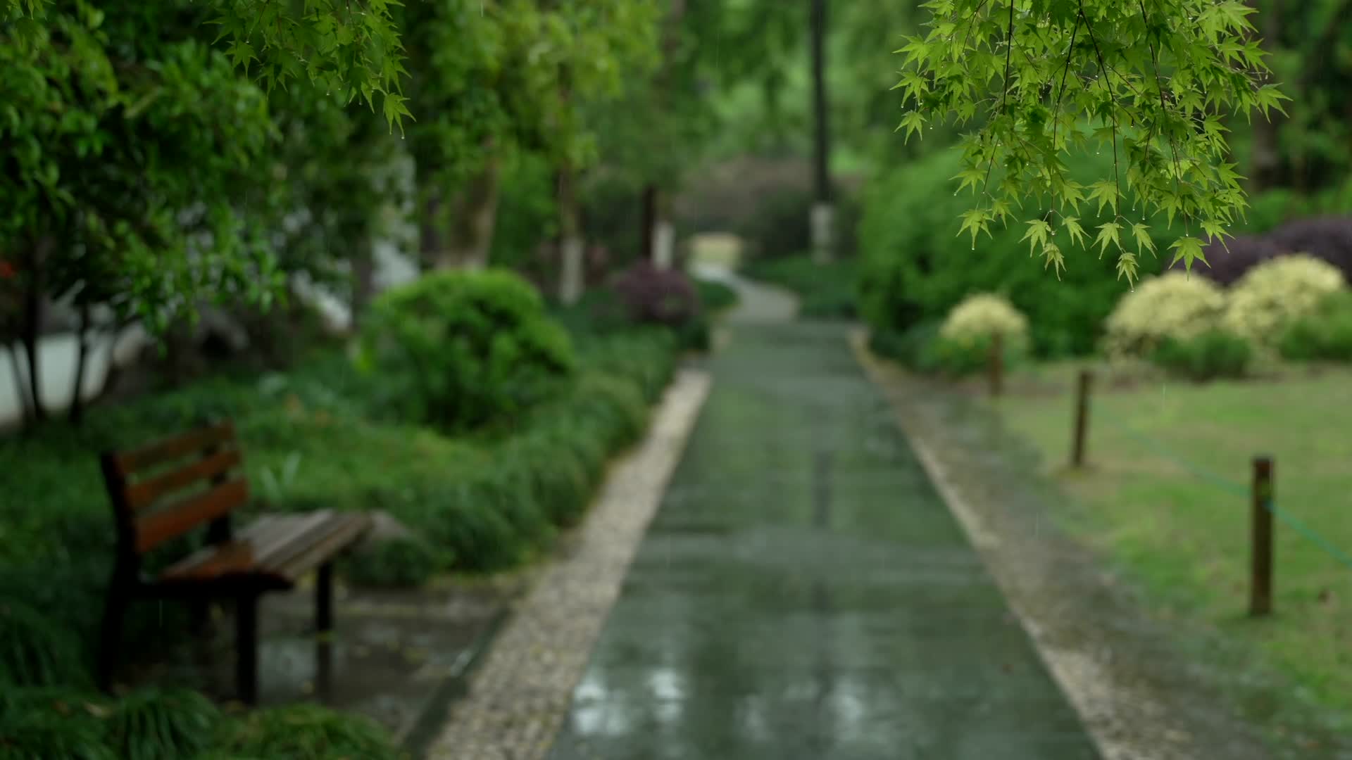 唯美杭州风景古建筑下雨天树枝椅子视频的预览图