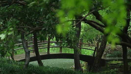 唯美杭州风景古建筑下雨天小桥树枝视频的预览图