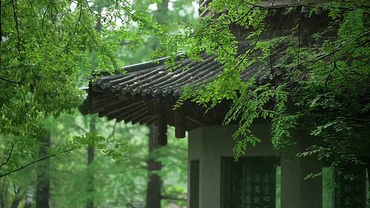 唯美杭州风景古建筑下雨天亭子树枝视频的预览图