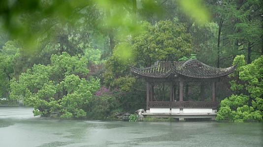 唯美杭州风景古建筑下雨天树叶亭子视频的预览图