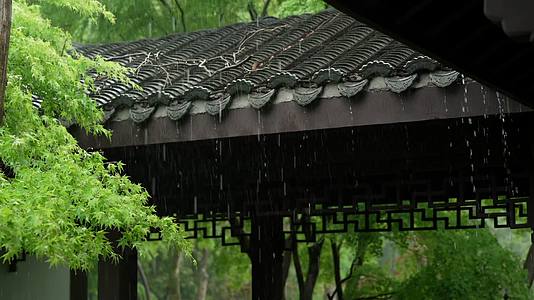 唯美杭州风景古建筑下雨天树叶屋檐院子视频的预览图