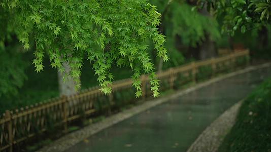 唯美杭州风景古建筑下雨天树叶小道视频的预览图