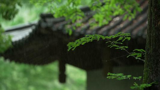 唯美杭州风景古建筑下雨天亭子树枝视频的预览图