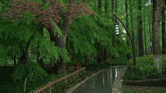 唯美杭州风景古建筑下雨天树叶小道公园视频的预览图