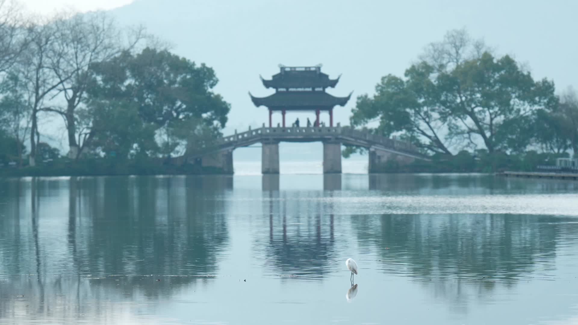 唯美杭州西湖水鸟清晨桥视频的预览图