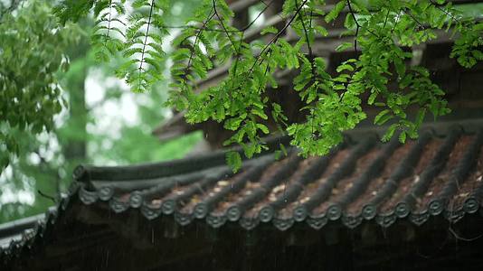唯美杭州风景古建筑下雨天树枝亭子屋檐视频的预览图